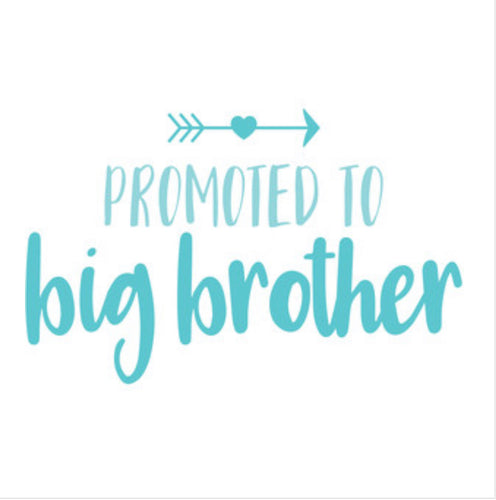 Big Brother Promotion