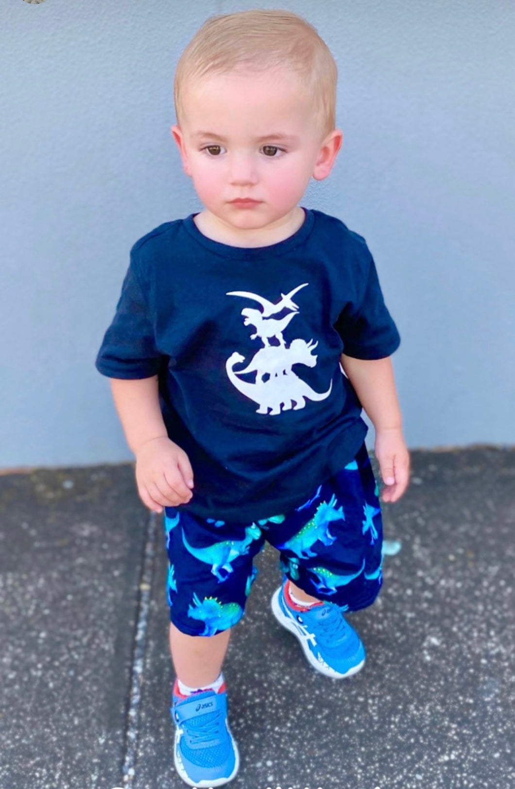 Dino set (handmade shorts and a vinyl print tee)